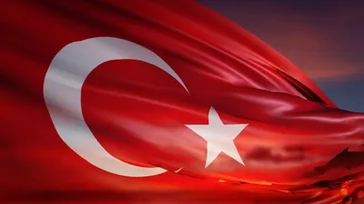 ''Türk devleti iflas edebilir''