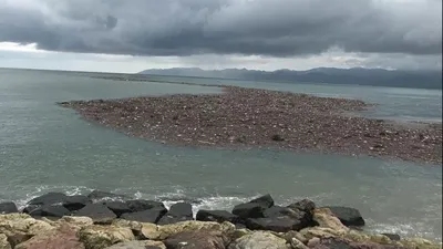 Ordu’da sel felaketinde tonlarca fındık denize aktı