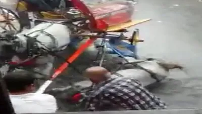 Büyükada'da vahşet
