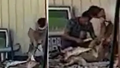 Antalya'daki lokantada köpek eti iddiasıyla ilgili net açıklama