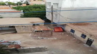 Yavru köpeğe kürekle işkence