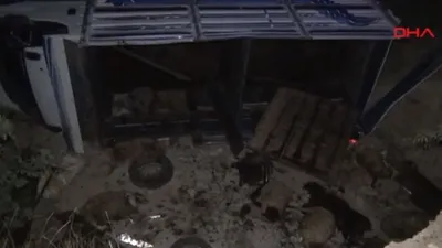 Tunceli'de kamyon devrildi: 12 hayvan telef oldu