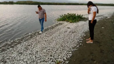 Korkutan görüntünün nedeni belli oldu