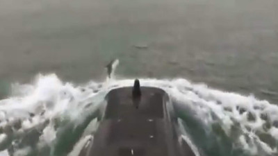 Denizaltıya yunuslar eşlik etti