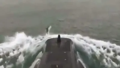 Denizaltıya yunuslar eşlik etti