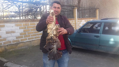 Evinin bahçesinde bulunca şok oldu