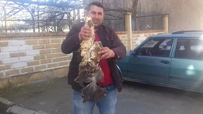 Evinin bahçesinde bulunca şok oldu