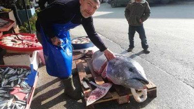 Marmara Denizi'nde yakalandı ! Tam 150 kilo...