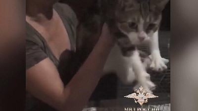Uyuşturucu kuryesi kedi kaçtı !
