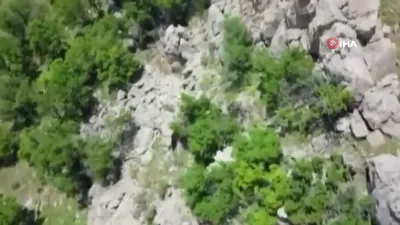 PKK'nın ini boşaltıldı!