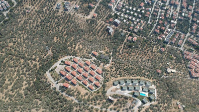 2,5 milyon zeytin ağacı gitti, bu villalar geldi
