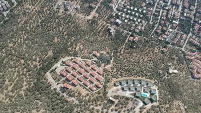 2,5 milyon zeytin ağacı gitti, bu villalar geldi