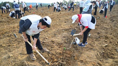 Sarıyer'de toplam 13 bin fidan dikildi