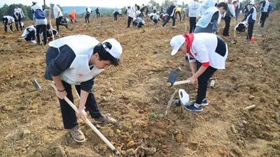 Sarıyer'de toplam 13 bin fidan dikildi