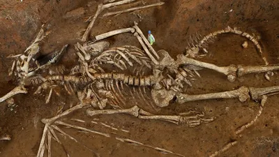Rusya'da ejderha kalıntıları bulundu