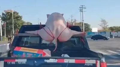 Trafikte şaşkına çeviren görüntü