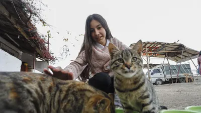 Sokak kedileri için harçlığı yetmeyince bakın ne yaptı