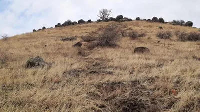 Dağdan geldi, evin duvarını delip salona girdi!