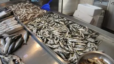 Dikkat çeken açıklama: Geleceği tehlikede