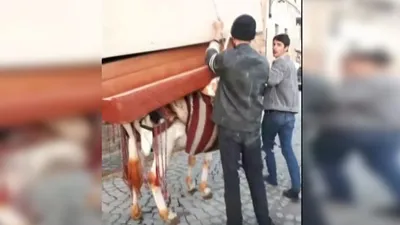 Mardin'de tepki çeken görüntü