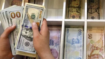Erdoğan satın dedi; vatandaş dinlemedi ! Dövize hücum!