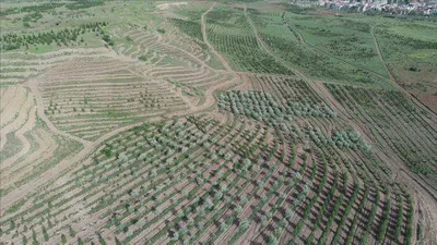 Atatürk Orman Çiftliği'nde 1 milyon metrekare daha imara açıldı