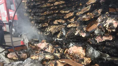 Tavuk eti yüklü TIR alev alev yandı