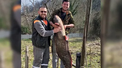 Tam 40 kilogram... Görenler şaştı kaldı