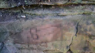 Bilim insanlarını şaşkına çeviren görüntü