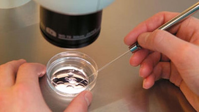Kısırlık tedavisi yapan doktor 49 çocuğun babası çıktı