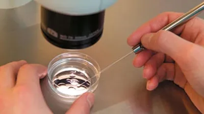 Kısırlık tedavisi yapan doktor 49 çocuğun babası çıktı