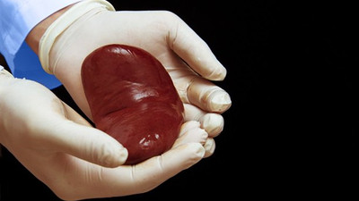 İnternette organ satışları