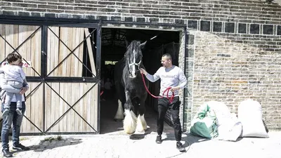 Türkiye'de bir tane var ! Herkes şaşırıyor...