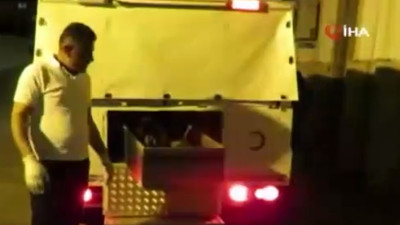 Van'da dehşet! 9 cansız beden bulundu