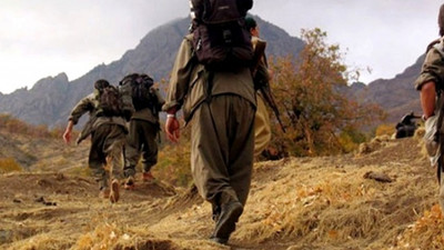 Şırnak'ta 2 terörist teslim oldu
