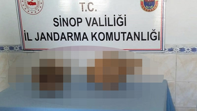 Balıkçının ağına bakın ne takıldı