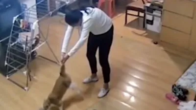 Vicdansız ! Kediye işkence anı kamerada