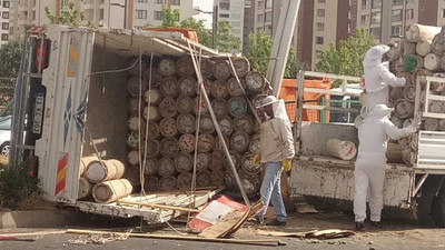 3 ilde arı alarmı! Ölü ve yaralılar var...