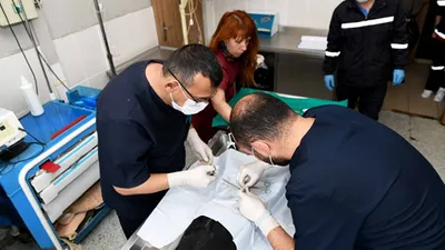 Ankara'da sahipsiz hayvanalr büyükşehir korumasında