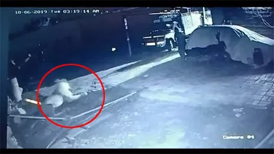 Güvenlik kamerasındaki aslan saldırısı sosyal medyayı salladı