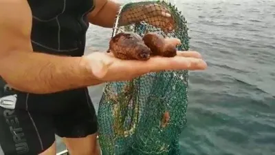 Deniz polisine böyle yakalandılar