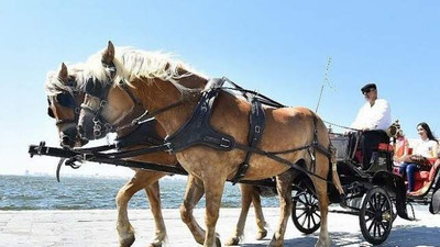 Alkışlar Tunç Soyer'e! İzmir'de işkence bitti !