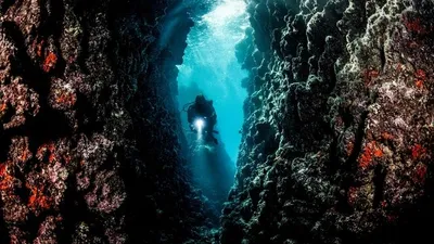 Türkiye'nin, Kızıldeniz'i tehlike altında