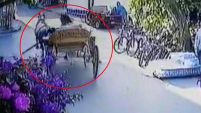 Büyükada'da fayton dehşeti kamerada!