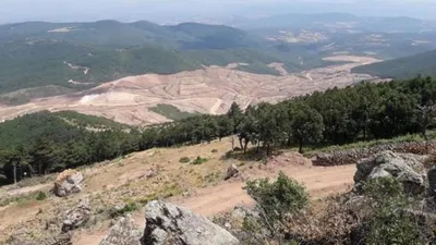 195 bin ağaç daha kesildi !