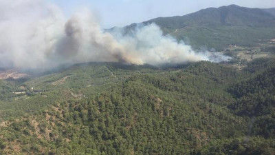 Datça'daki orman yangını davalık oldu ! 1 milyon TL'lik tazminat talebi