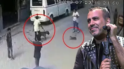 Haluk Levent, kediyi köpeğe parçalatan çocuklar için devreye giriyor