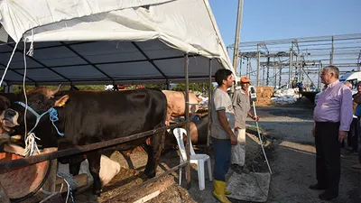 Sarıyer'de kurban hazırlıkları tamamlandı