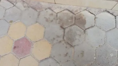 Bir babanın isyanı: ''Devletimiz bu adamı assın!''