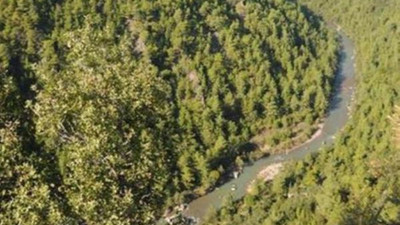 ÇED raporuna ''Böcekler ne olacak ?'' iptali